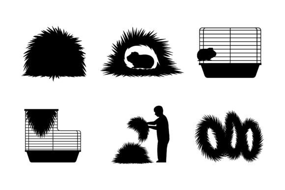 Guinea Pig Care Habitat Icon Set: A Practical Visual Tool for Pet Lovers